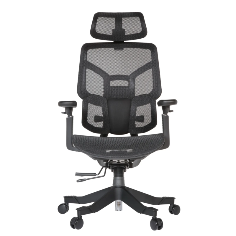 Zalta Professional Chair