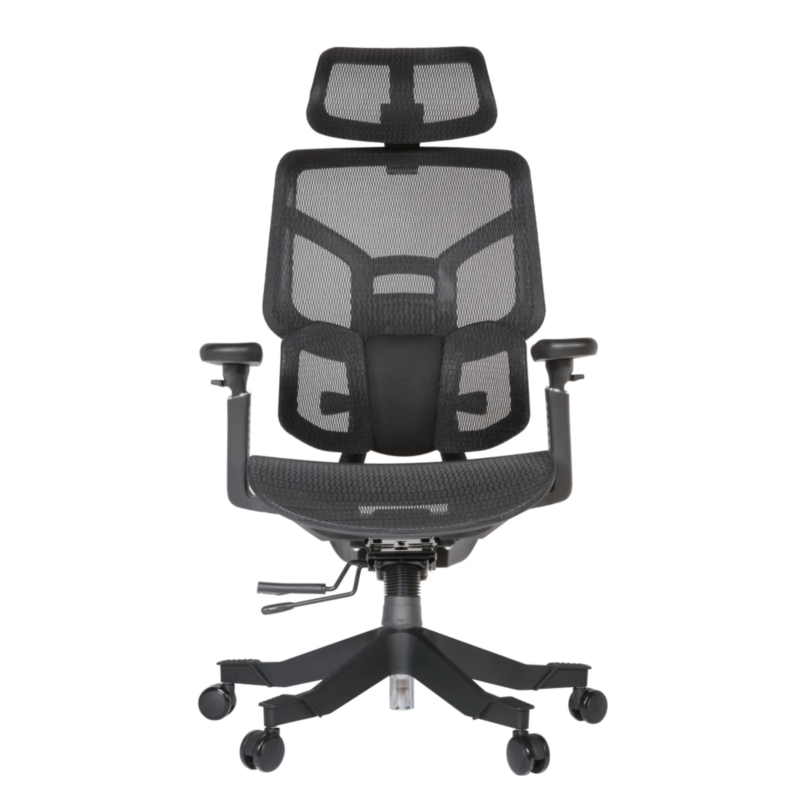 Zalta Professional Chair