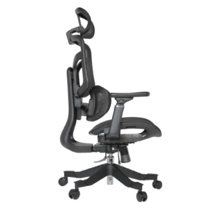 Zalta Professional Chair
