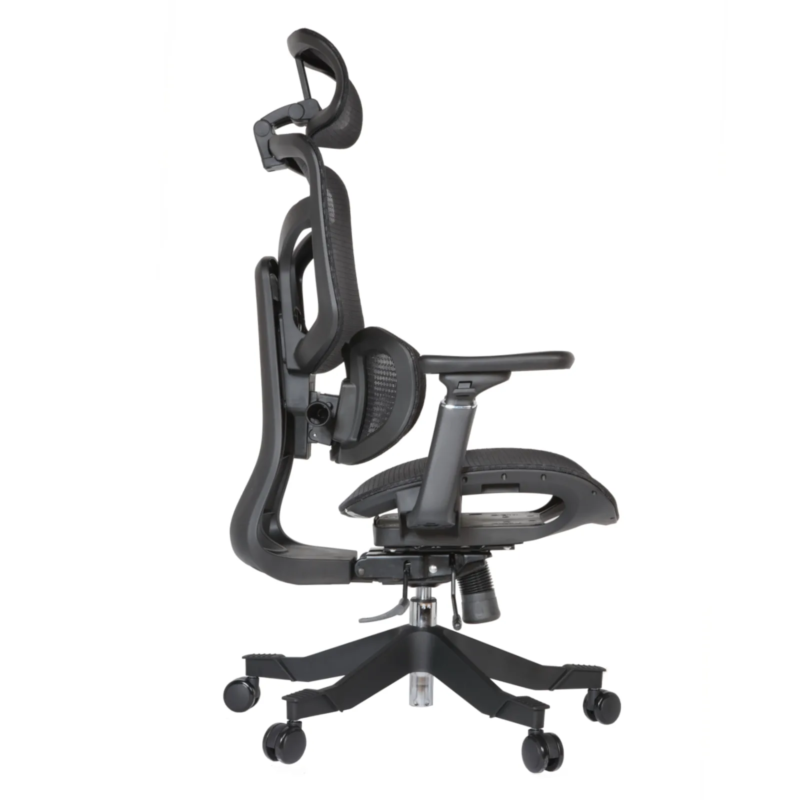 Zalta Professional Chair