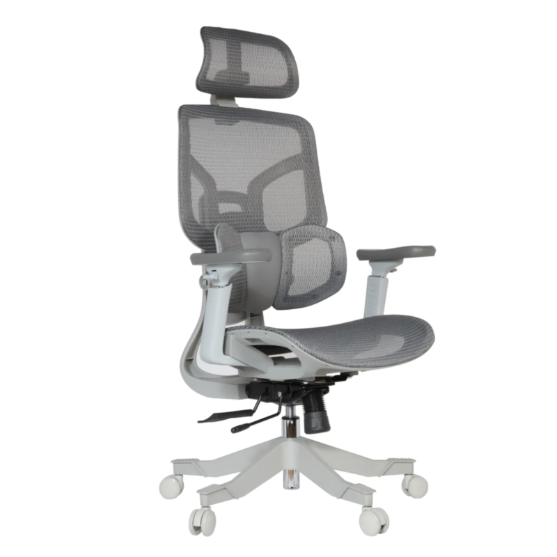 Zalta Professional Chair