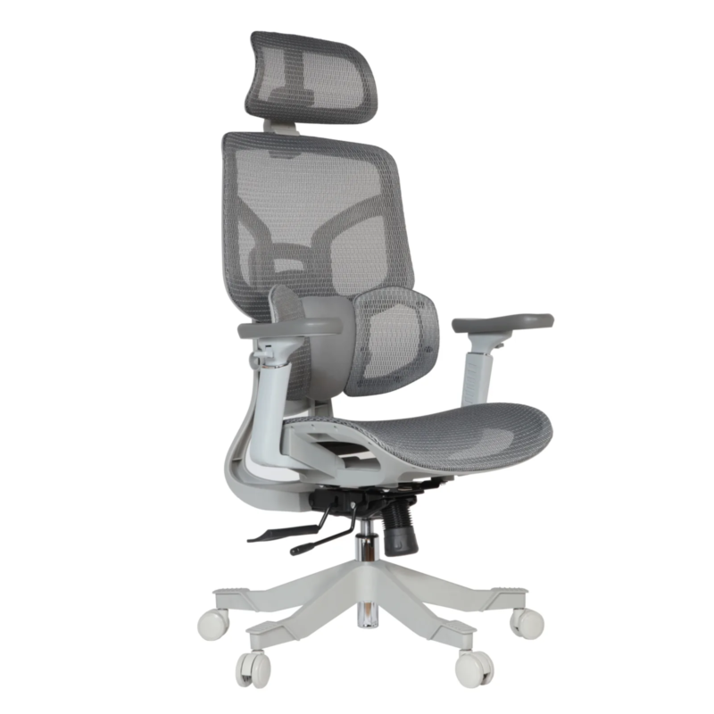 Zalta Professional Chair