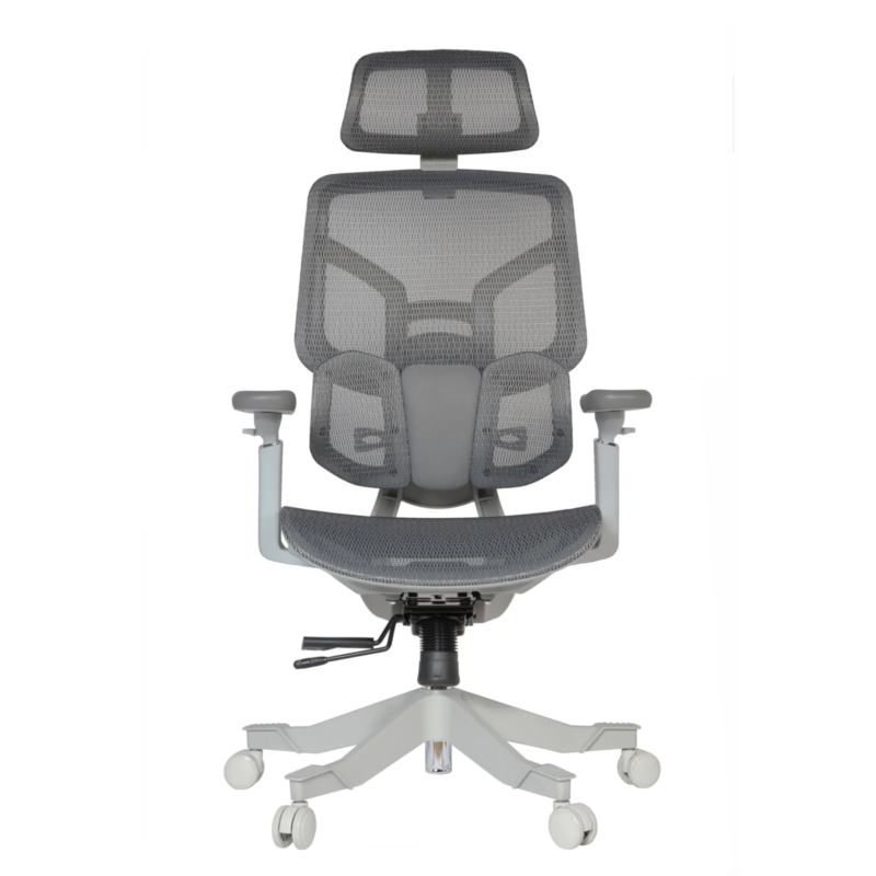Zalta IMG_0030 Zalta Professional Chair