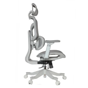 Zalta Professional Chair