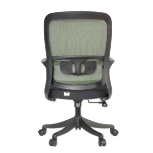Femi IMG_0009_1 Femi Secretary Chair