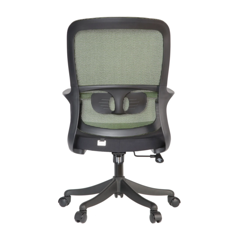 Femi IMG_0009_1 Femi Secretary Chair