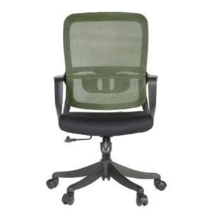 Femi IMG_0010 Femi Secretary Chair