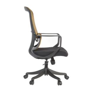 Femi Secretary Chair