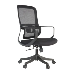 Femi Secretary Chair