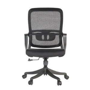Femi Secretary Chair