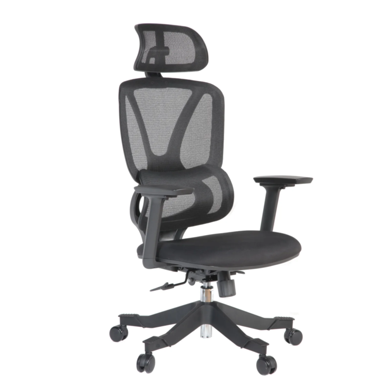 Gana IMG_0008_2 Gana Executive Chair