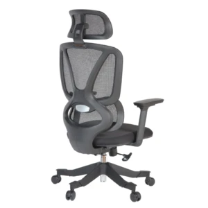 Gana IMG_0009_2 Gana Executive Chair