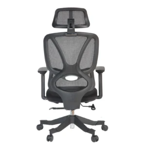 Gana IMG_0010_3 Gana Executive Chair