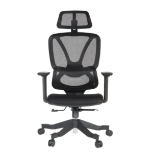 Gana IMG_0011_3 Gana Executive Chair