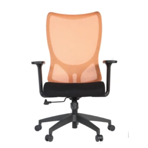 Krede IMG_0006 Krede Secretary Chair