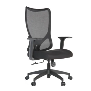 Krede IMG_0009_1 Krede Secretary Chair