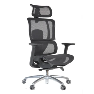 Martin IMG_0004_5 Martin Professional Chair
