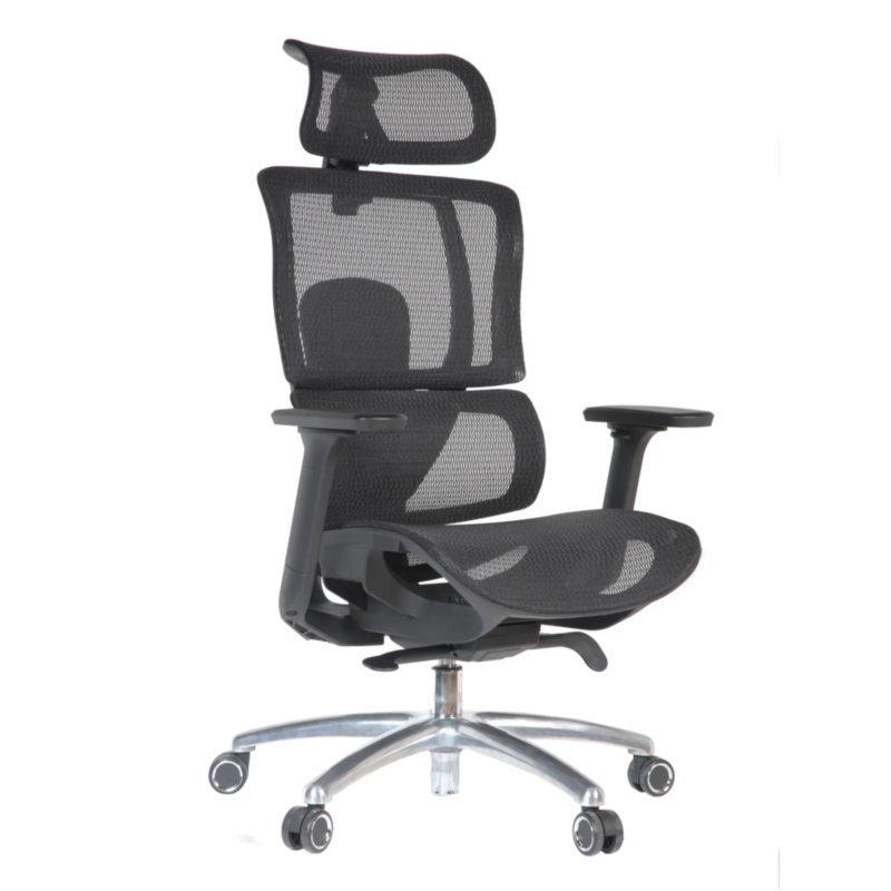 Martin IMG_0004_5 Martin Professional Chair