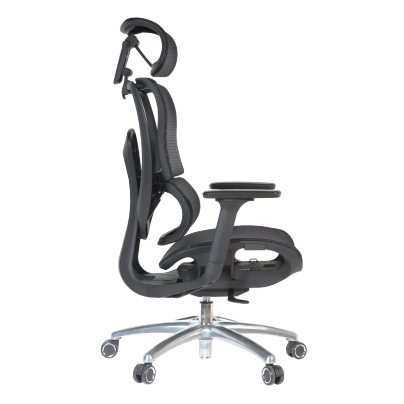 Martin IMG_0005_5 Martin Professional Chair