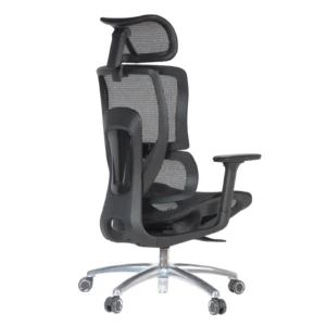 Martin IMG_0007_3 Martin Professional Chair