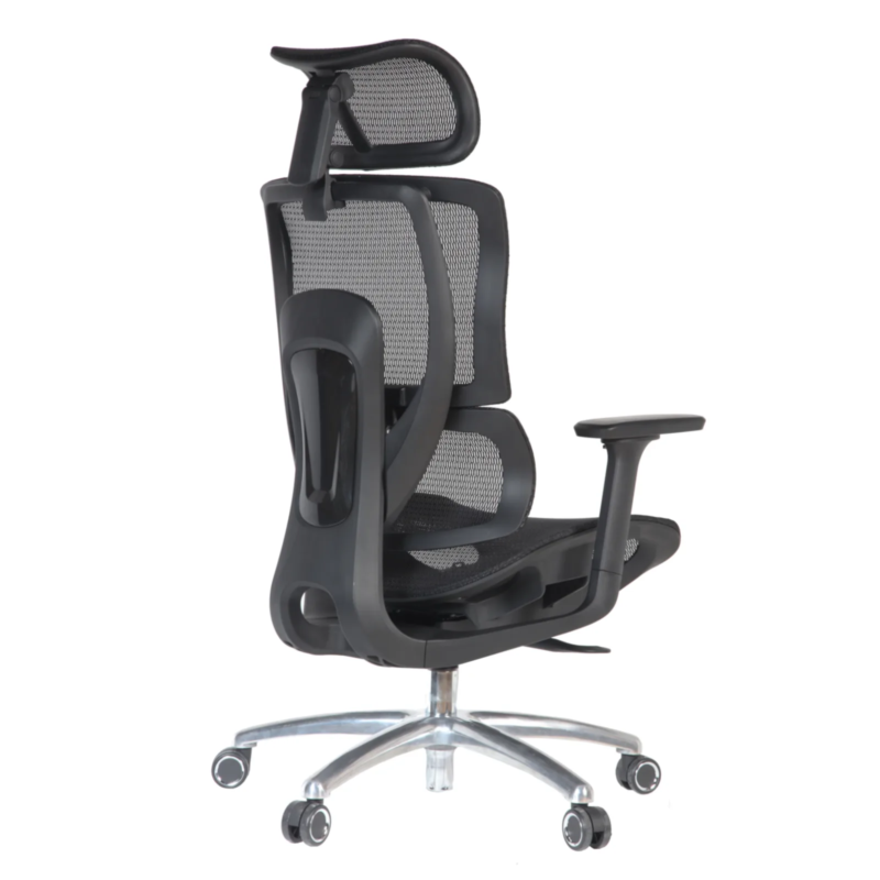 Martin IMG_0007_3 Martin Professional Chair