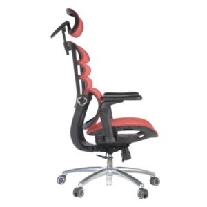Rican Professional Chair