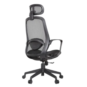 Alaska IMG_0007 Alaska Ergonomic Mesh Chair