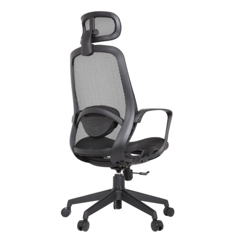 Alaska IMG_0007 Alaska Ergonomic Mesh Chair