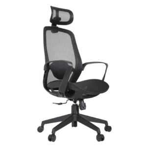 Alaska IMG_0008 Alaska Ergonomic Mesh Chair