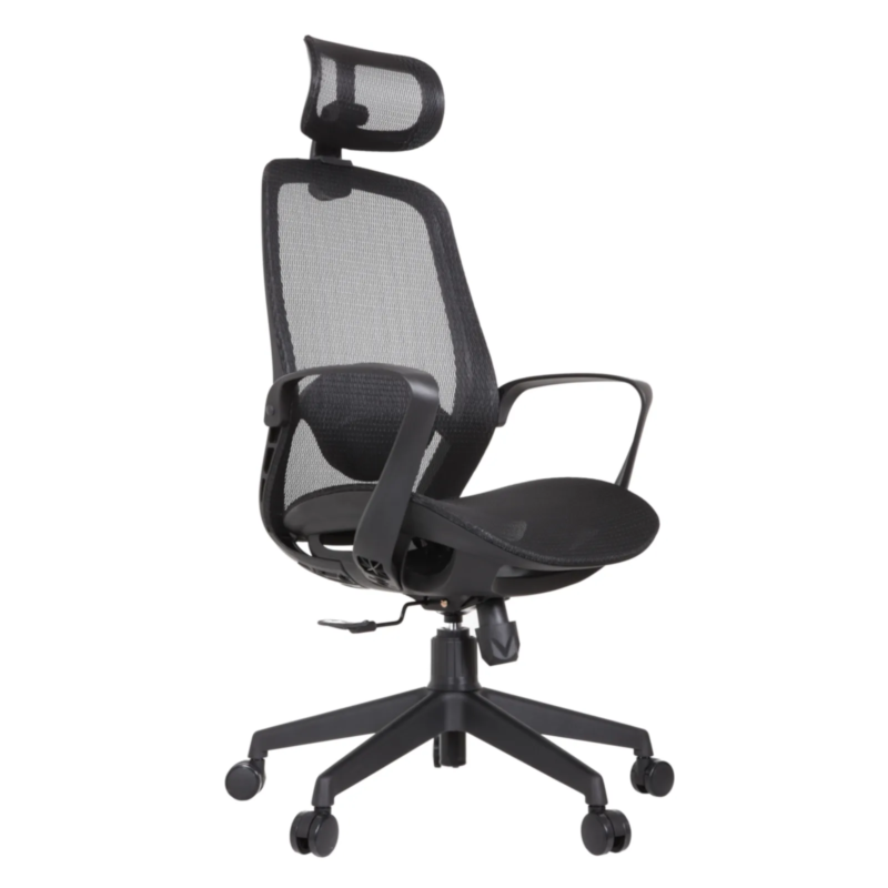 Alaska IMG_0008 Alaska Ergonomic Mesh Chair