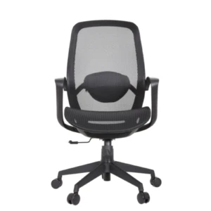 Alaska IMG_0009_1 Alaska Ergonomic Mesh Chair