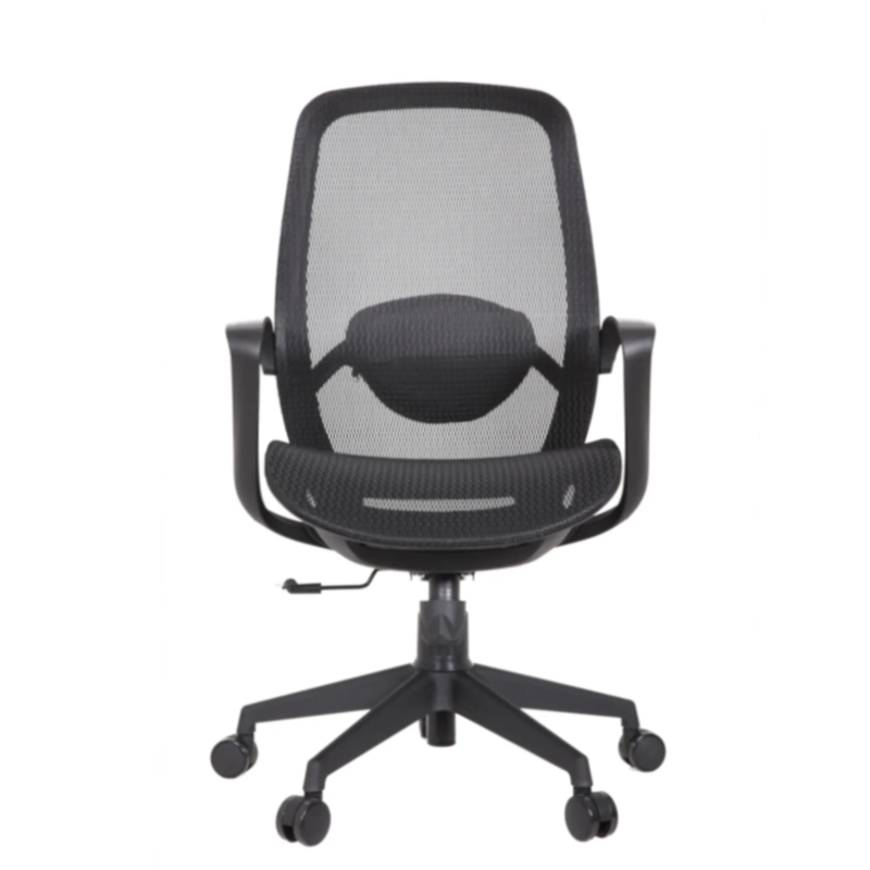 Alaska IMG_0009_1 Alaska Ergonomic Mesh Chair