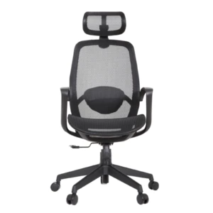 Alaska IMG_0009 Alaska Ergonomic Mesh Chair