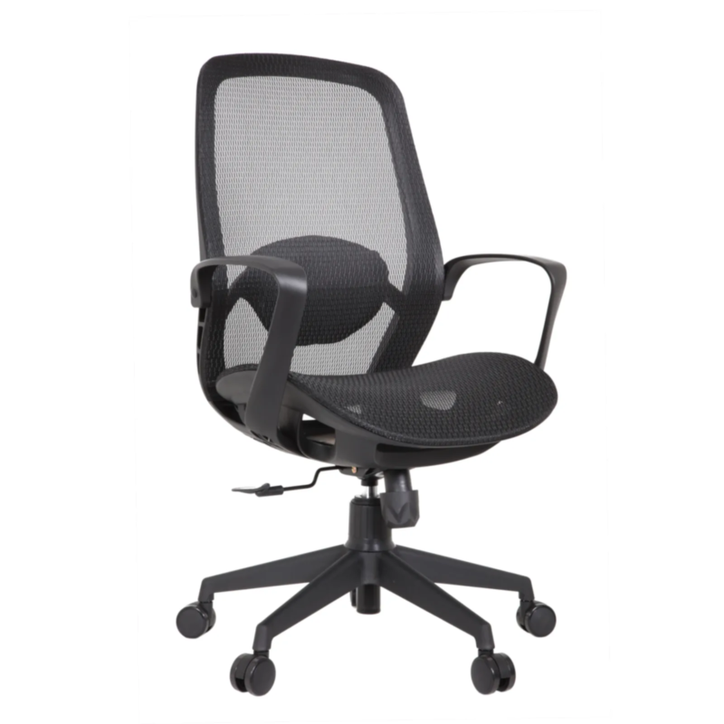 Alaska IMG_0010_1 Alaska Ergonomic Mesh Chair