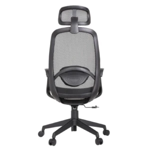 Alaska IMG_0010 Alaska Ergonomic Mesh Chair