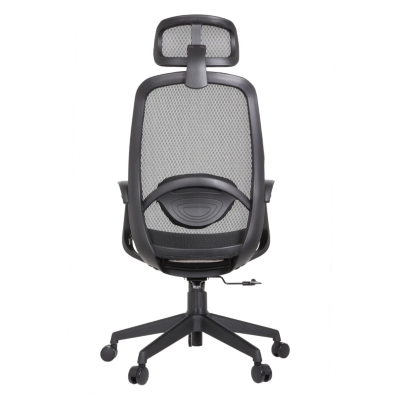 Alaska IMG_0010 Alaska Ergonomic Mesh Chair