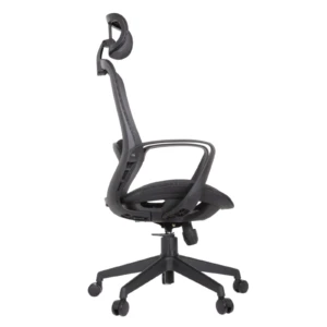 Alaska IMG_0011 Alaska Ergonomic Mesh Chair