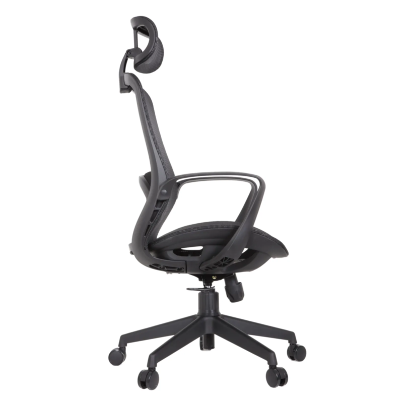 Alaska IMG_0011 Alaska Ergonomic Mesh Chair