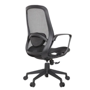 Alaska IMG_0014 Alaska Ergonomic Mesh Chair