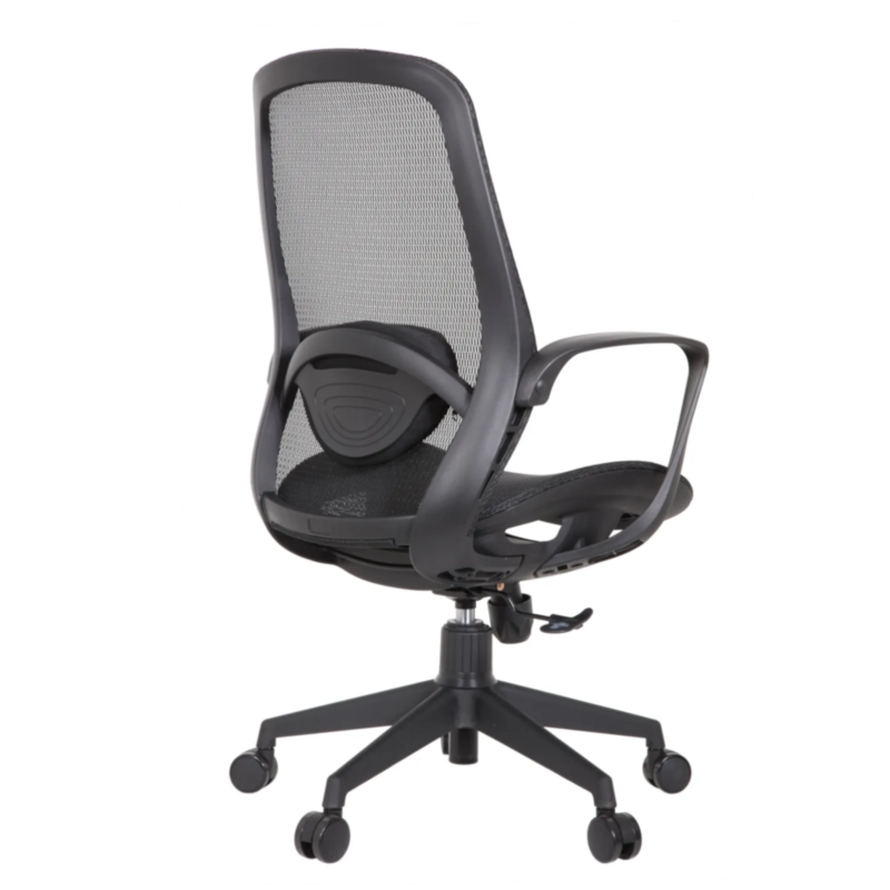 Alaska IMG_0014 Alaska Ergonomic Mesh Chair