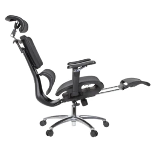 Apex Ergonomic Mesh Chair