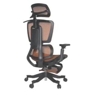 Apex Ergonomic Mesh Chair