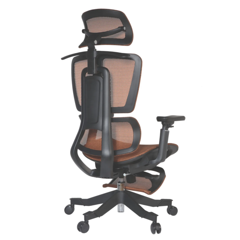 Apex Ergonomic Mesh Chair