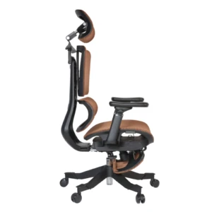 Apex Ergonomic Mesh Chair