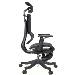 Apex Ergonomic Mesh Chair