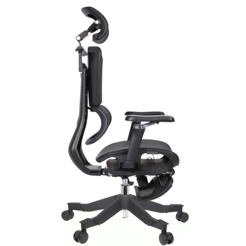 Apex Ergonomic Mesh Chair