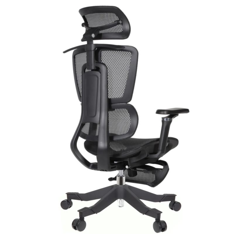 Apex Ergonomic Mesh Chair
