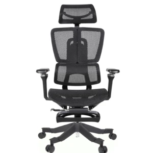 Apex Ergonomic Mesh Chair