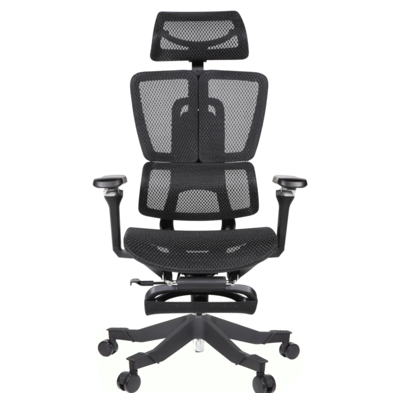 Apex Ergonomic Mesh Chair