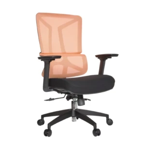 Barke IMG_0001_1 Barke Secretary Chair